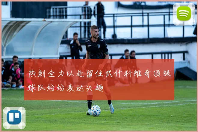 热刺全力以赴留住武什科维奇顶级球队纷纷表达兴趣